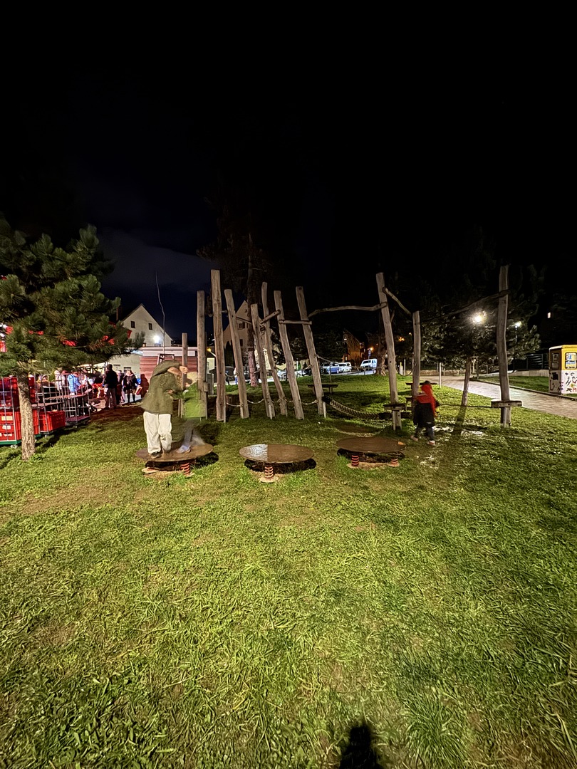 Lichterfahrt Stuttgart-Hofen - Galeriebild 9