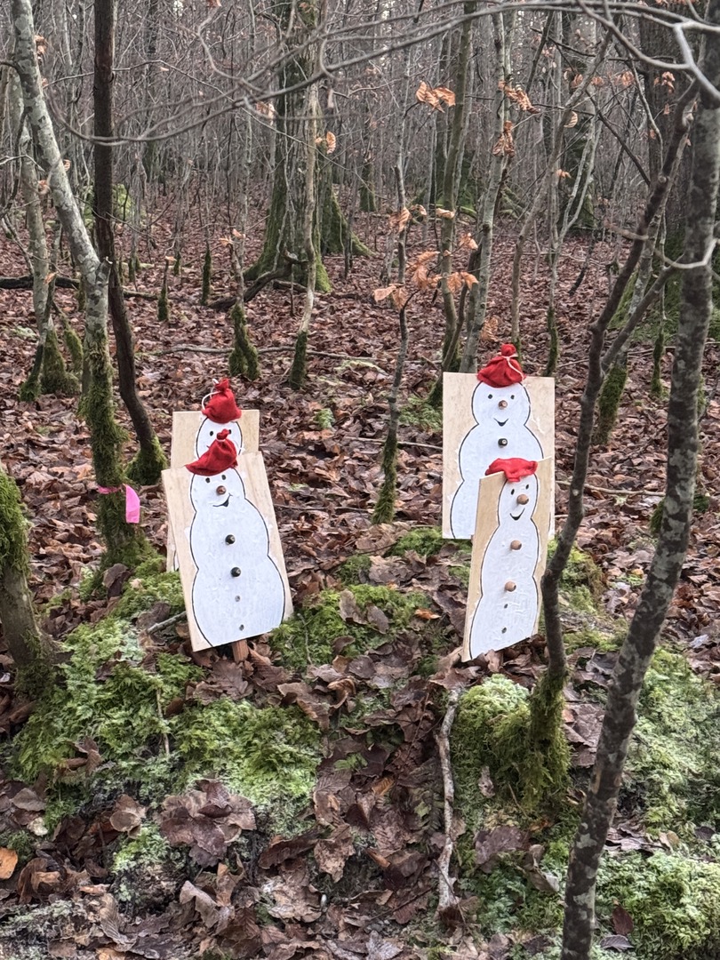 Waldweihnachtspfad Eislingen - Galeriebild 11