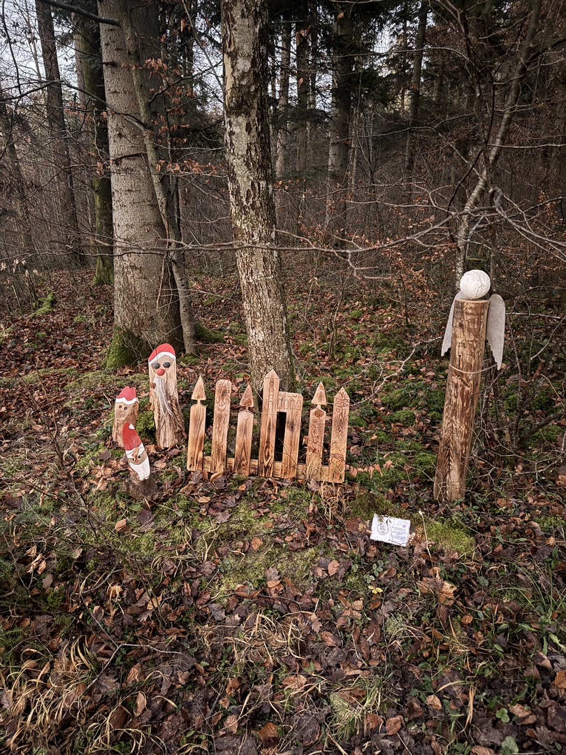 Waldweihnachtspfad Eislingen - Galeriebild 12