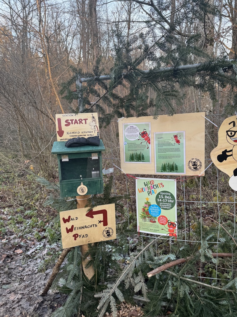 Waldweihnachtspfad Eislingen - Galeriebild 3