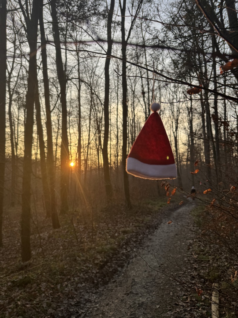 Waldweihnachtspfad Eislingen - Galeriebild 4