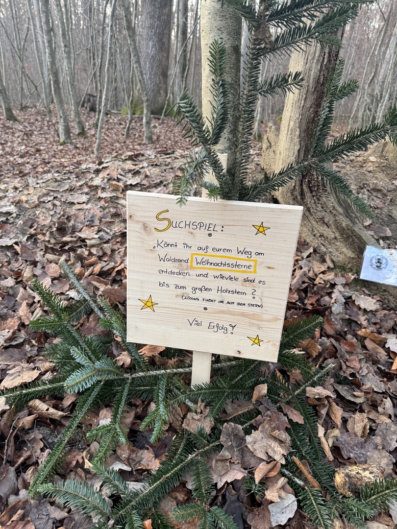 Waldweihnachtspfad Eislingen - Galeriebild 6
