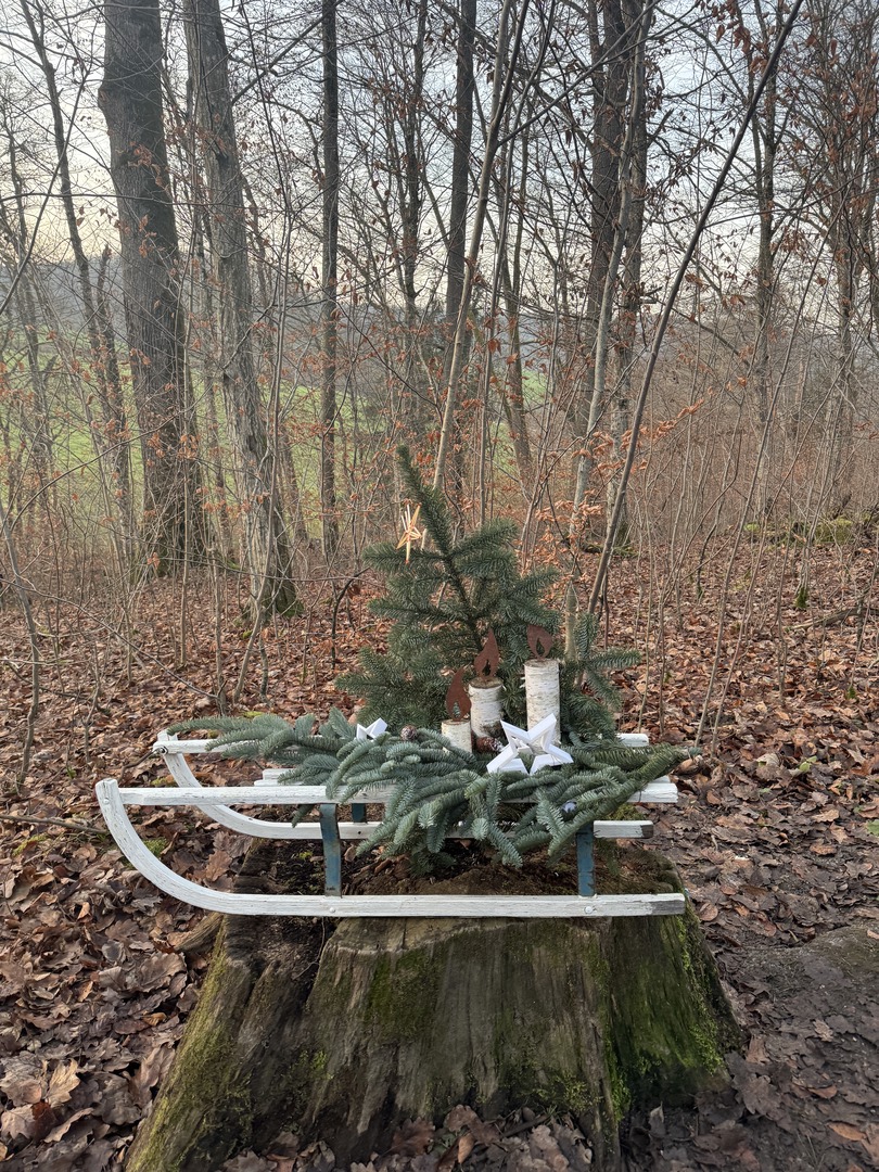 Waldweihnachtspfad Eislingen - Galeriebild 8