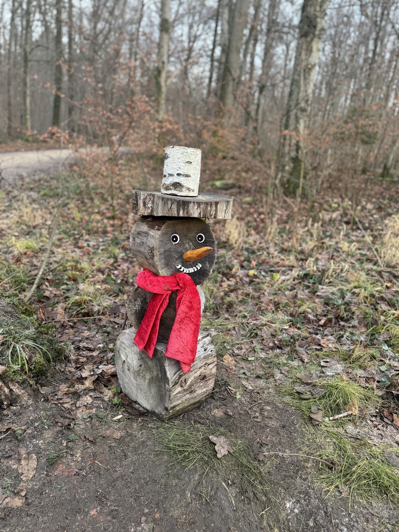 Waldweihnachtspfad Eislingen - Galeriebild 9