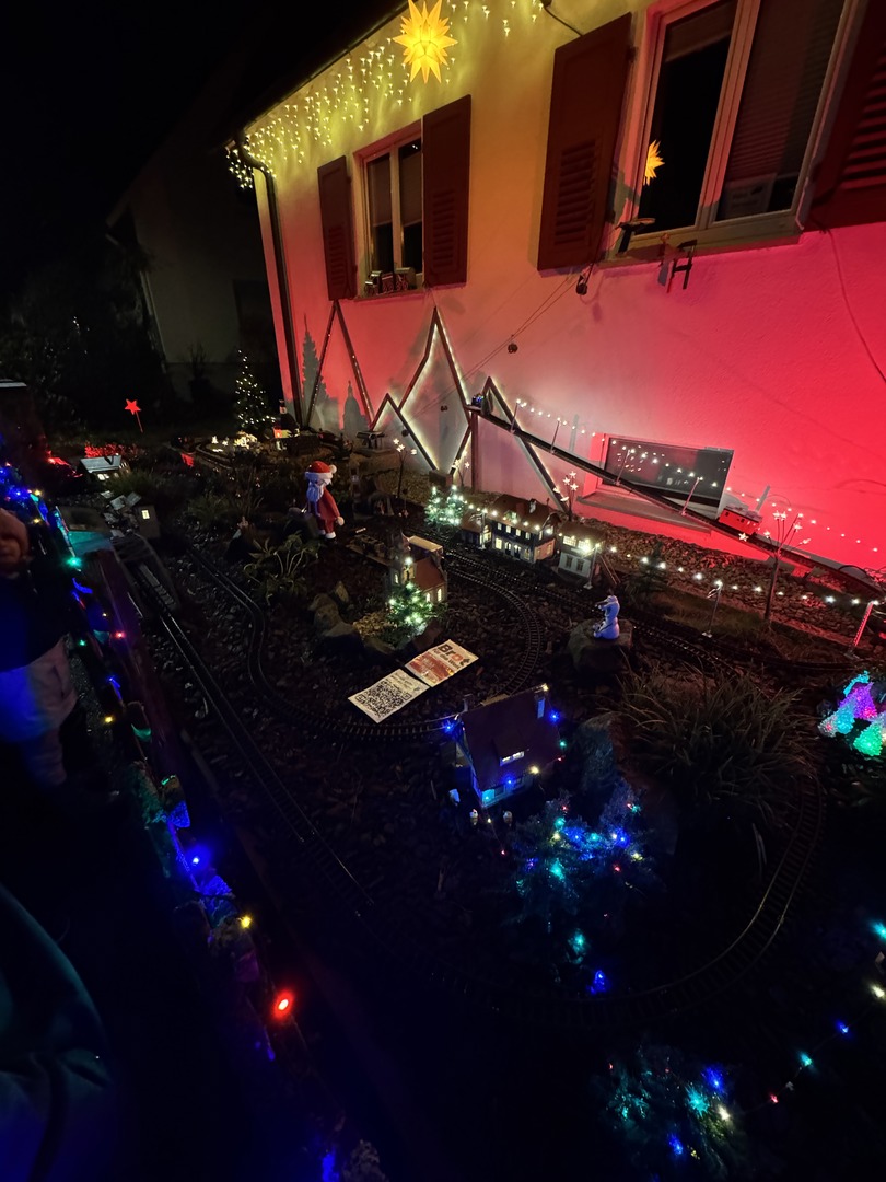 Leuchtender Vorgarten & Miniaturwelt in Wendlingen - Galeriebild 3