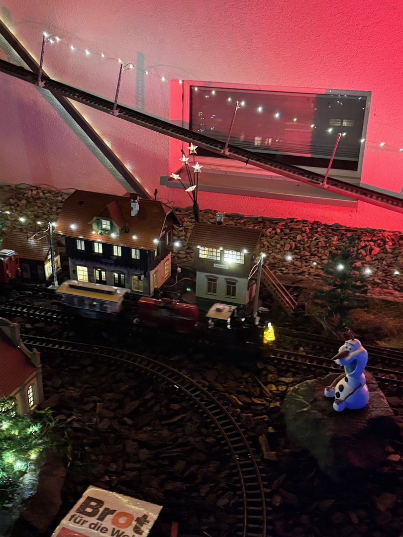 Leuchtender Vorgarten & Miniaturwelt in Wendlingen - Galeriebild 7