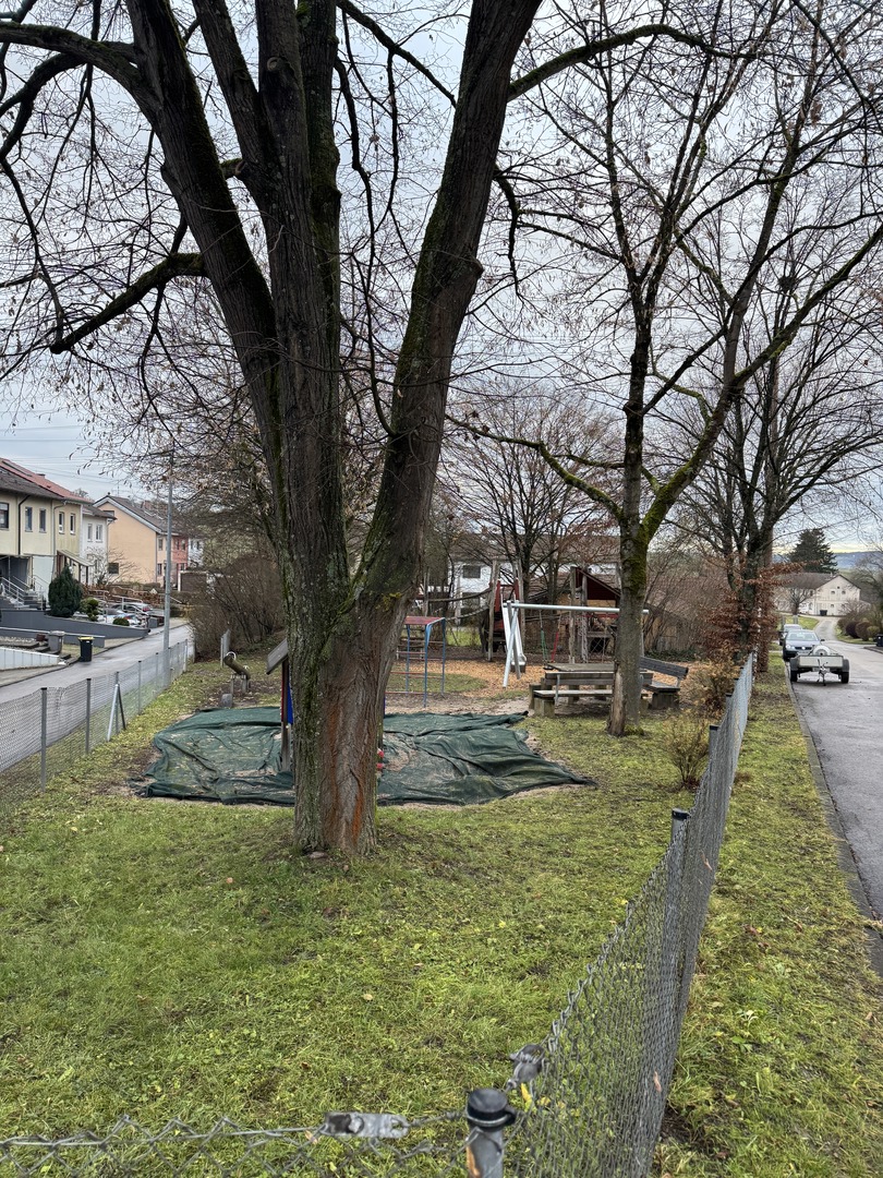 Wichtelweg Reudern - Galeriebild 5