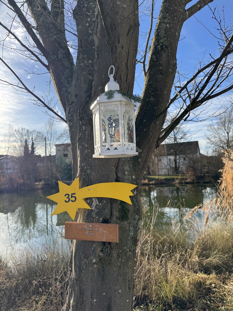 Krippenweg in Schlierbach - Galeriebild 5