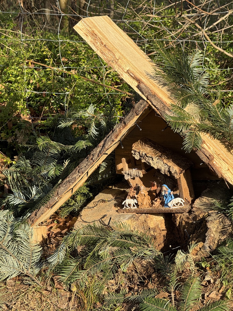 Krippenweg in Schlierbach - Galeriebild 6