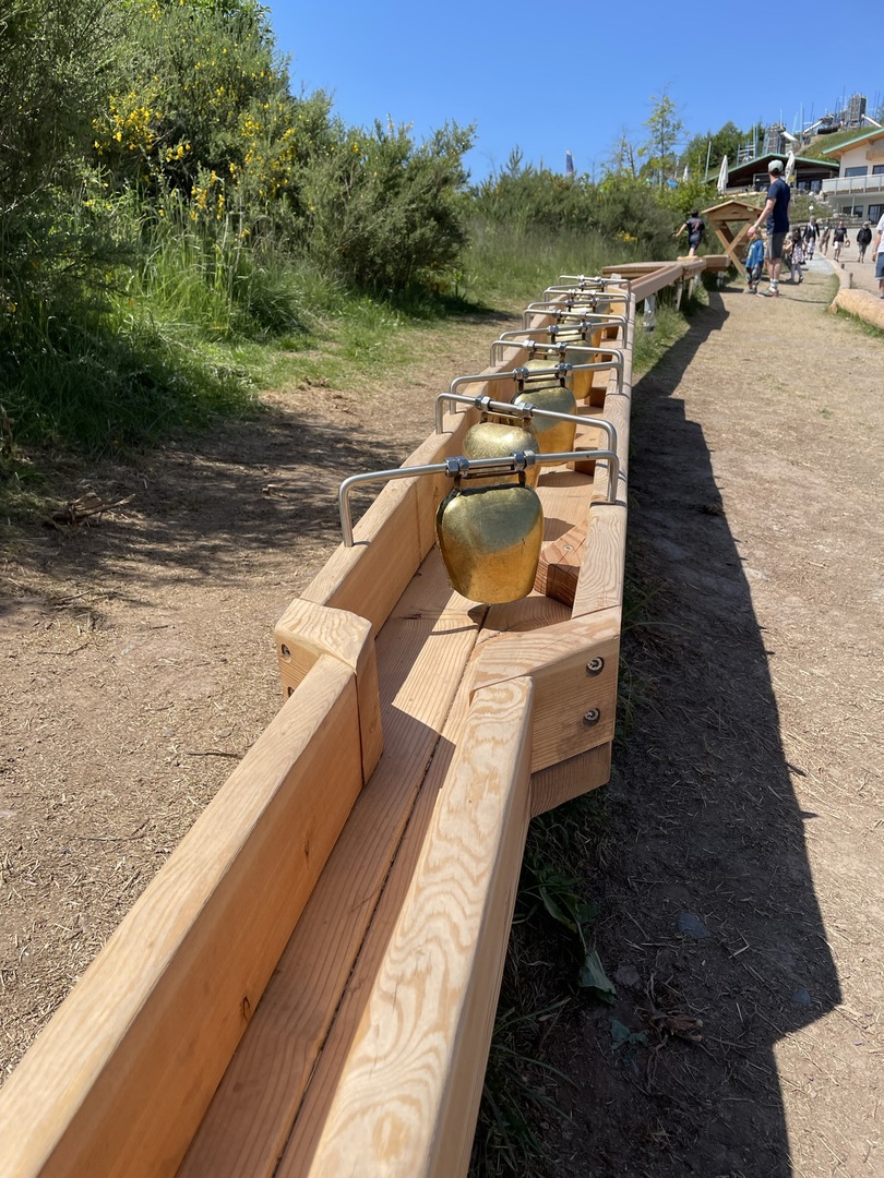 Ferienhof Hasenkammer - Galeriebild 17