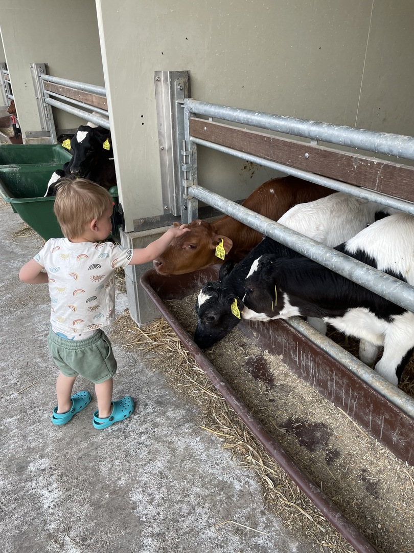 Ferienhof Hasenkammer - Galeriebild 20