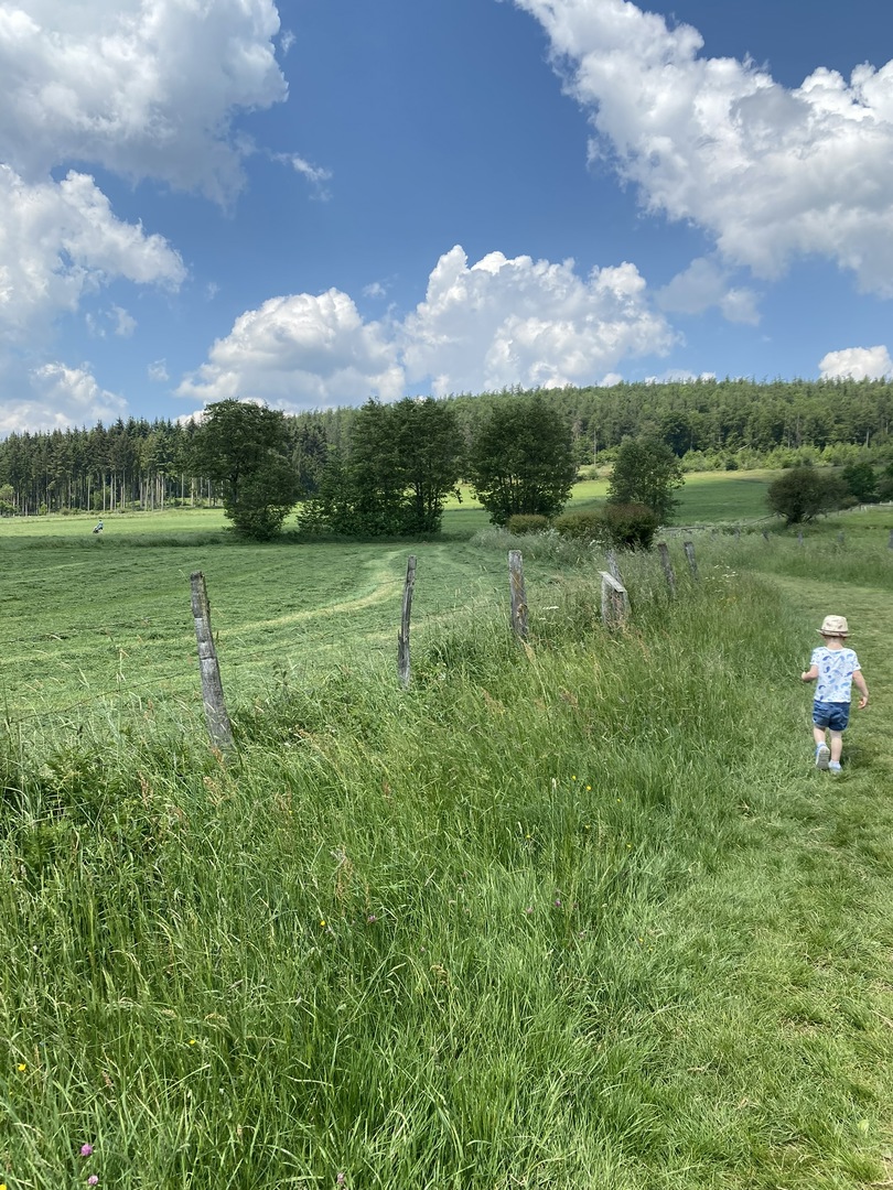 Ferienhof Hasenkammer - Galeriebild 3