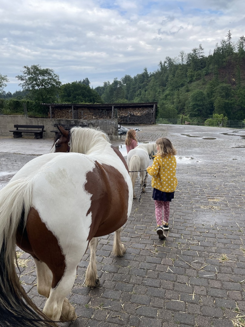 Ferienhof Hasenkammer - Galeriebild 22