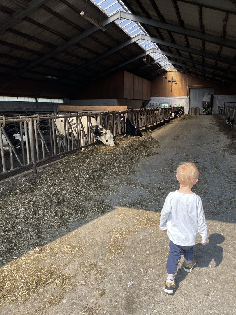 Ferienhof Hasenkammer - Galeriebild 24