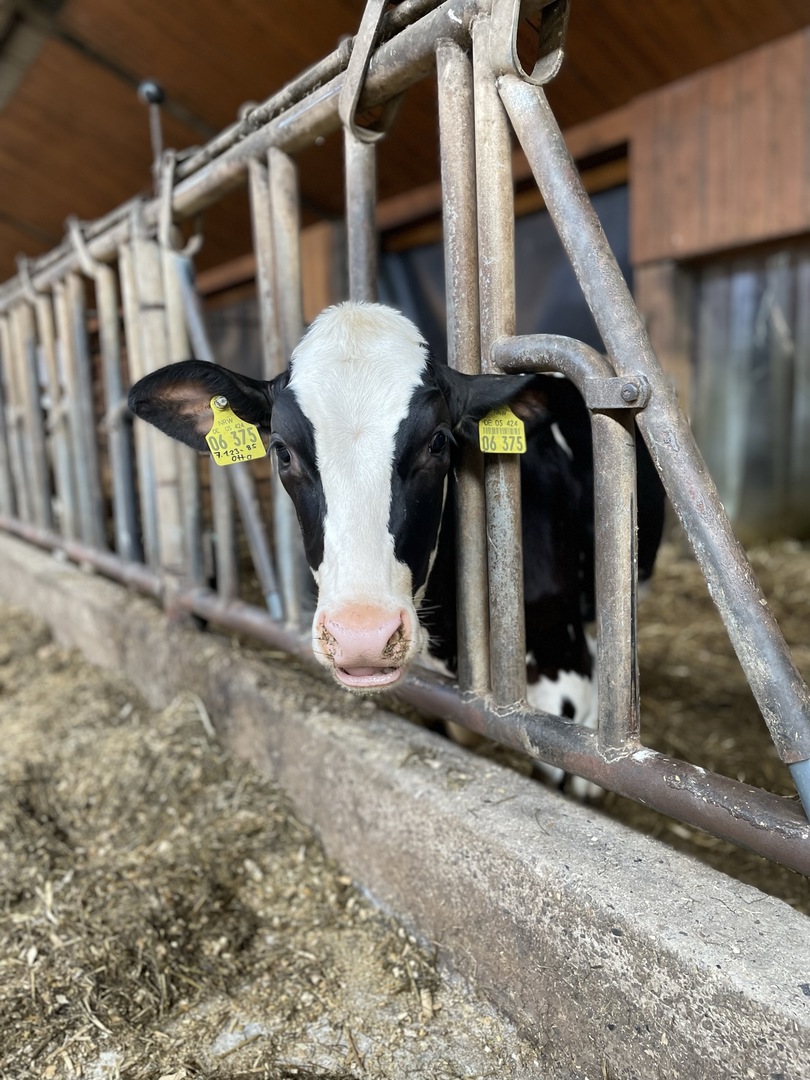 Ferienhof Hasenkammer - Galeriebild 25