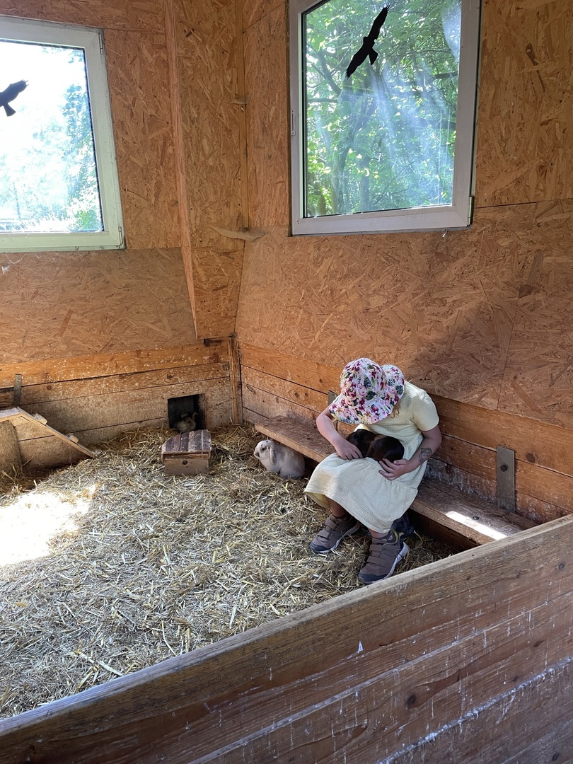 Ferienhof Hasenkammer - Galeriebild 31