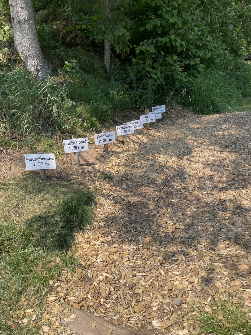 Ferienhof Hasenkammer - Galeriebild 33