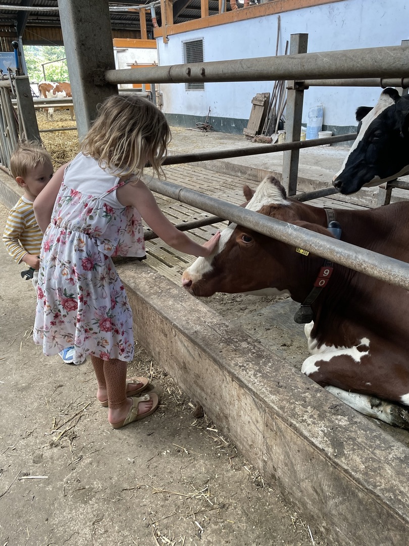 Ferienhof Hasenkammer - Galeriebild 9
