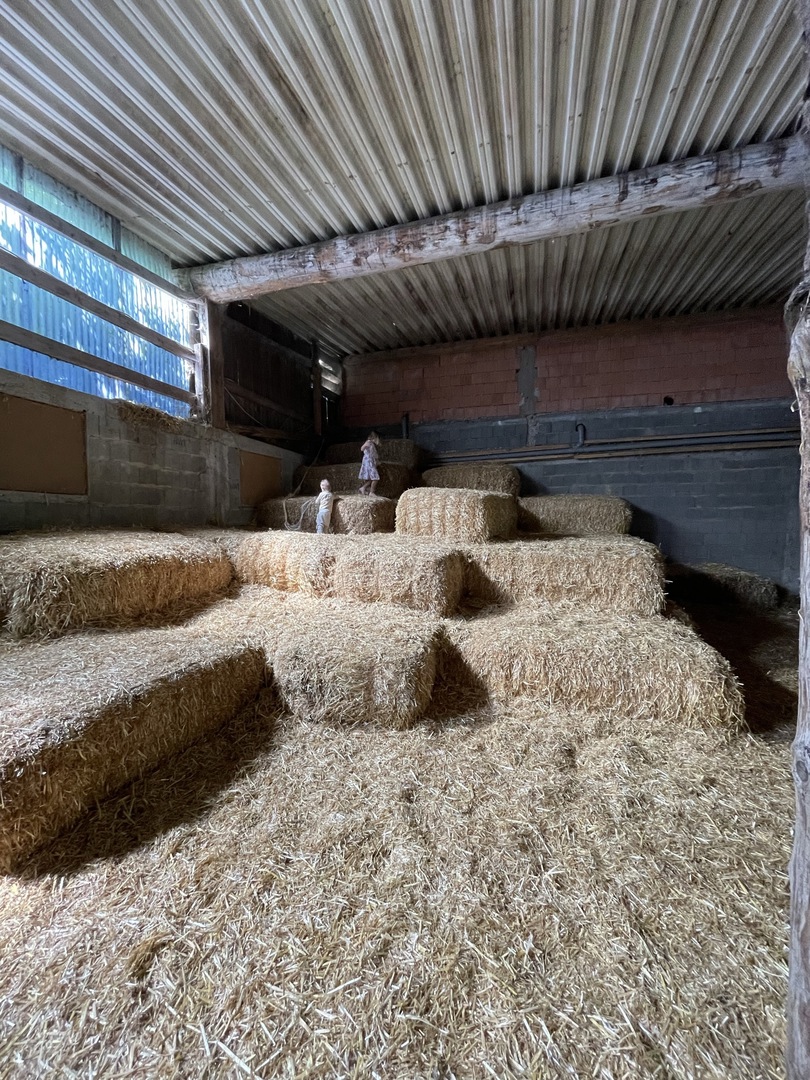 Ferienhof Hasenkammer - Galeriebild 10