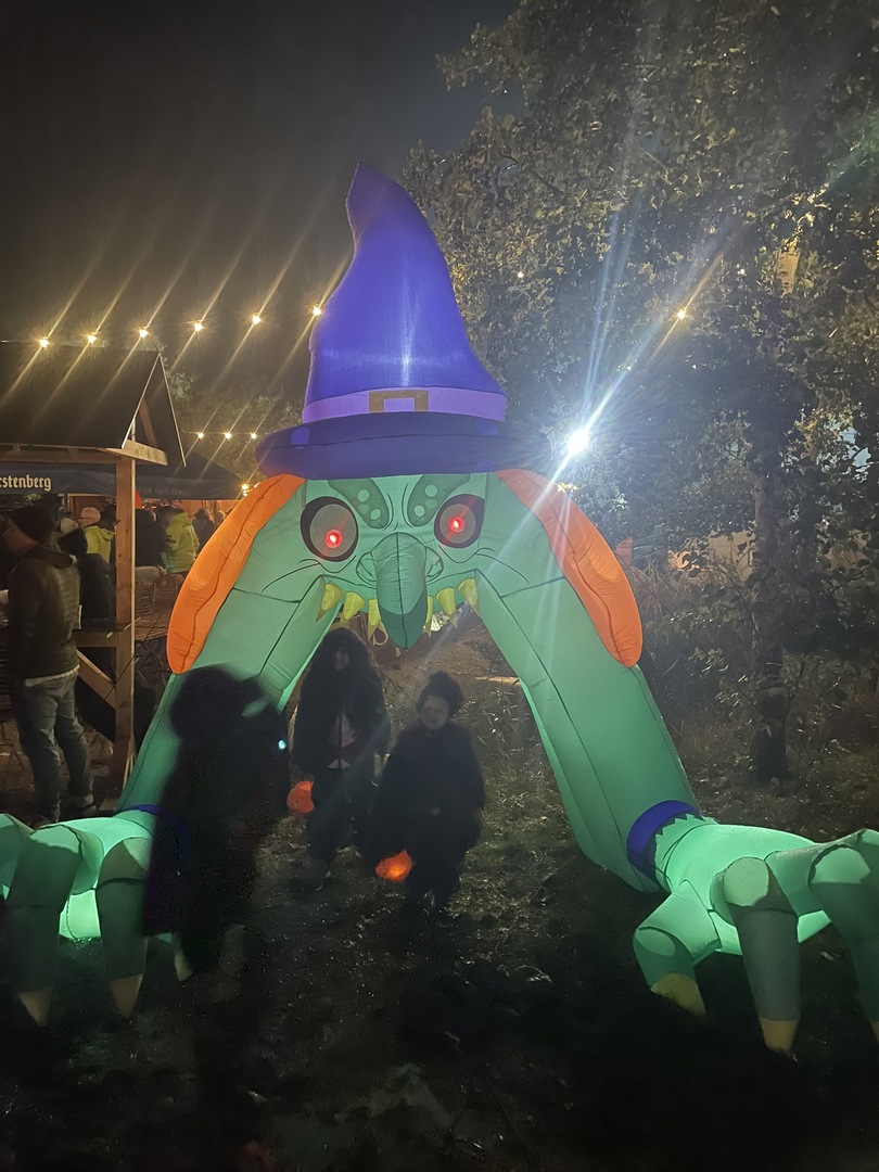 Hegau Camping - Galeriebild 11