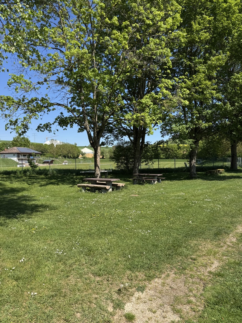 Hegau Camping - Galeriebild 24