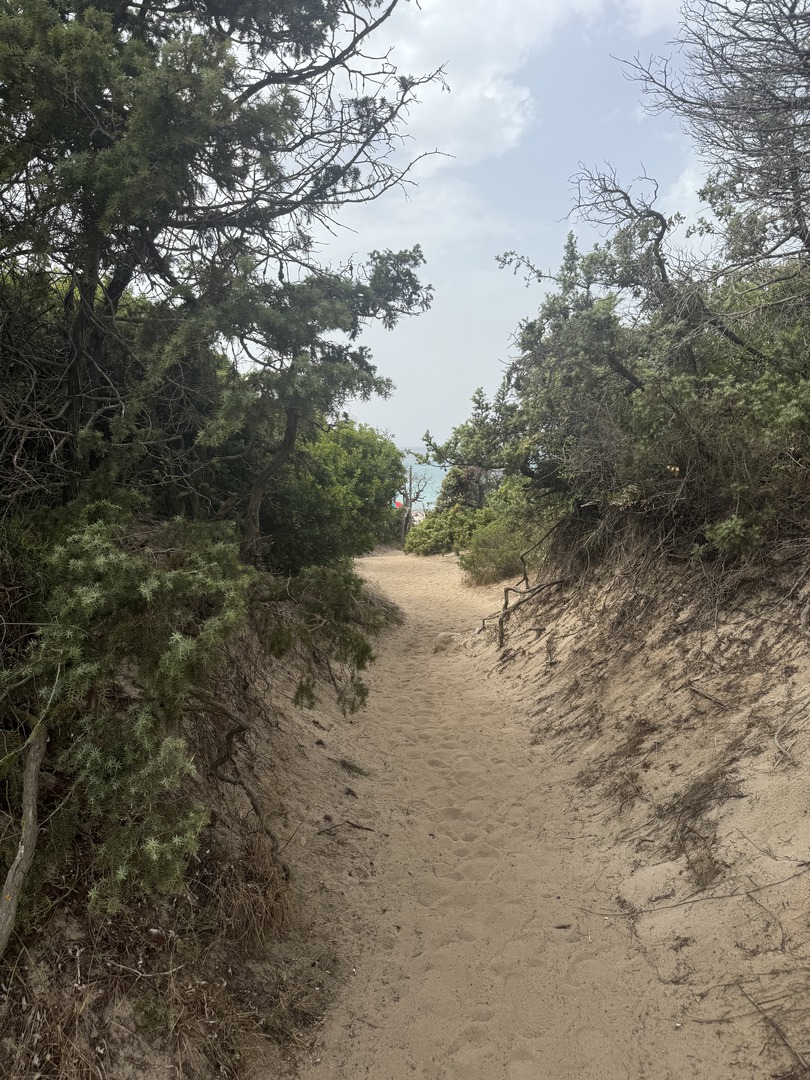 Campingplatz Le Bodri – Strandcamping auf Korsika - Galeriebild 22