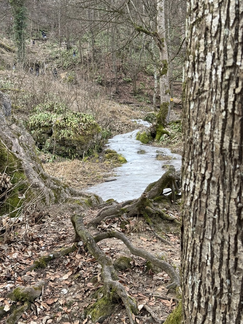 Uracher Wasserfall im Winter – Familienwanderung im Eis - Galeriebild 2