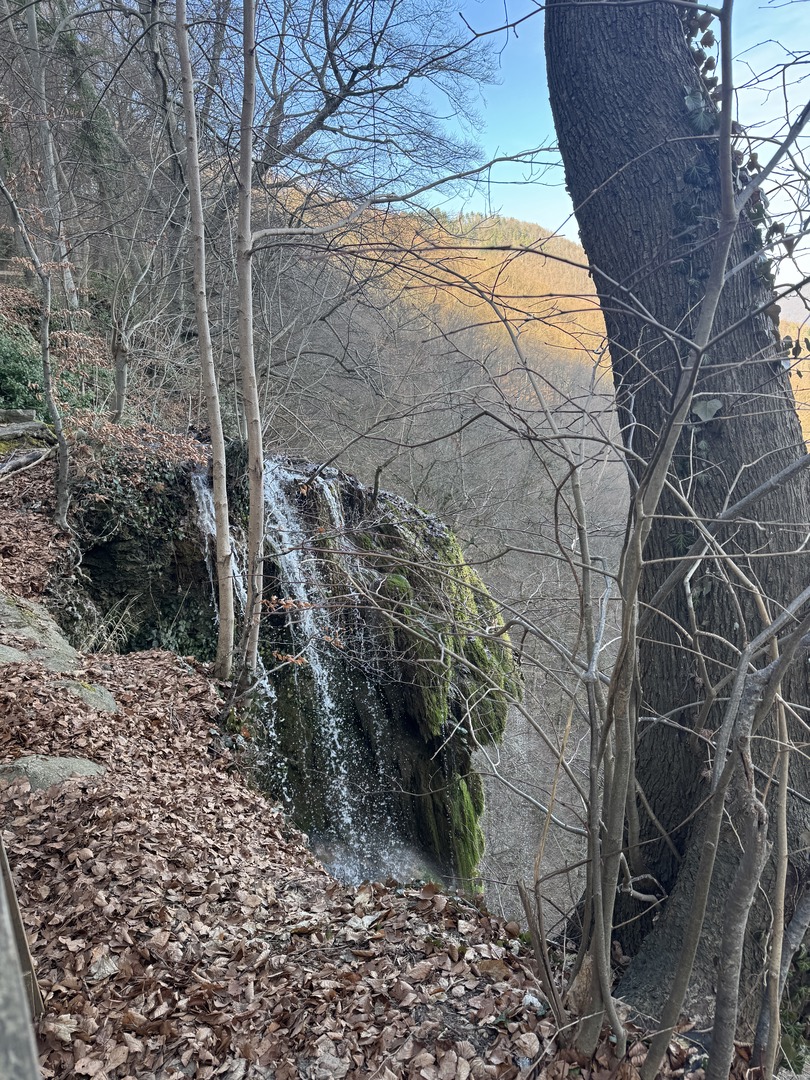Uracher Wasserfall im Winter – Familienwanderung im Eis - Galeriebild 12