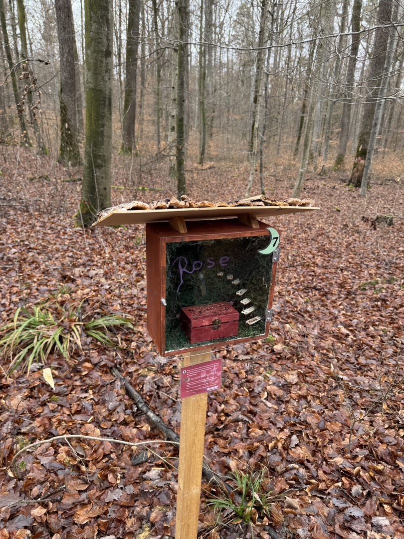 Ramadan Rally Reutlingen – Familienpfad im Markwasen - Galeriebild 4