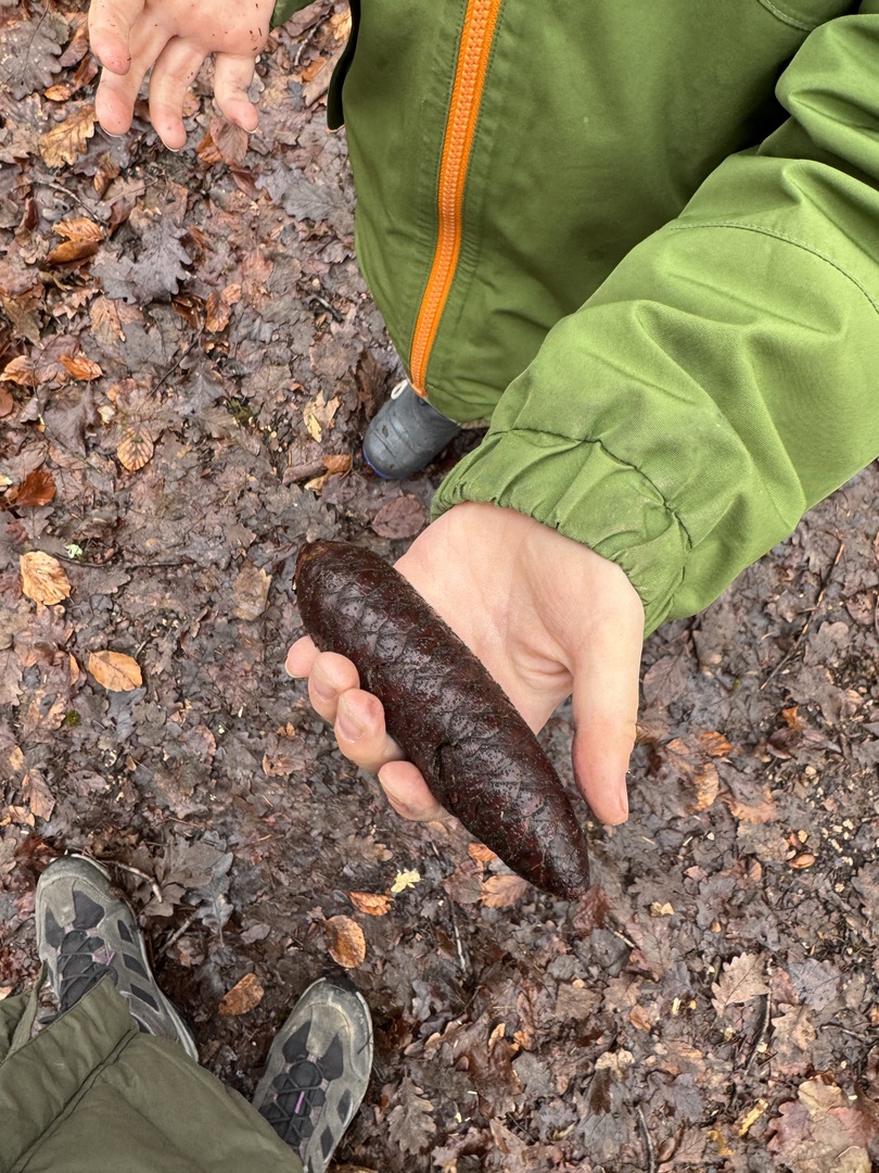 Ramadan Rally Reutlingen – Familienpfad im Markwasen - Galeriebild 6
