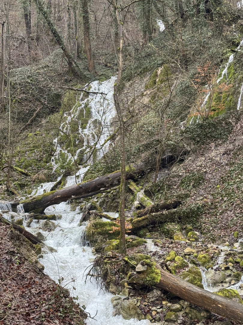 Märzenbecherpfad Bad Überkingen – Erlebnisweg für Familien - Galeriebild 21