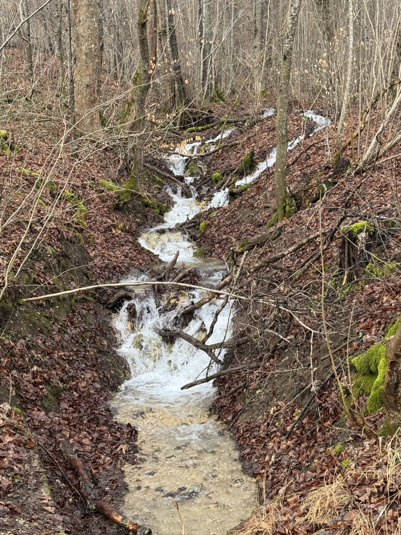 Märzenbecherpfad Bad Überkingen – Erlebnisweg für Familien - Galeriebild 26