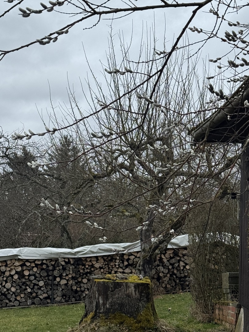 Märzenbecherpfad Bad Überkingen – Erlebnisweg für Familien - Galeriebild 7