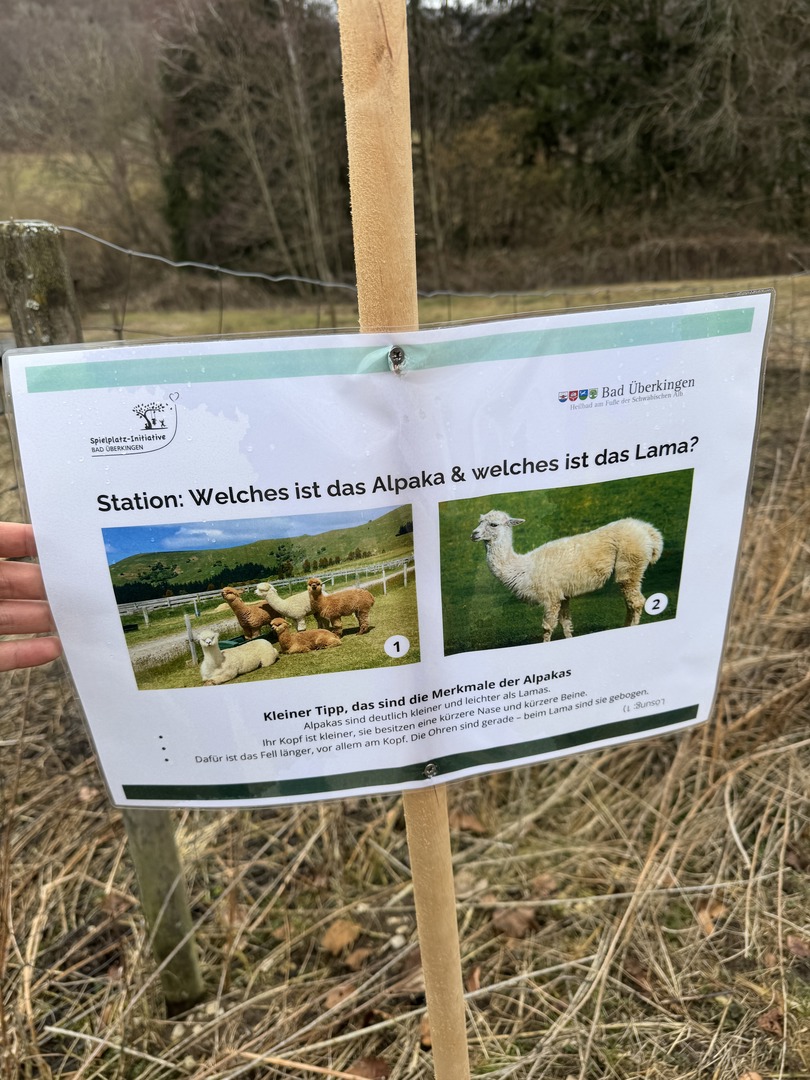 Märzenbecherpfad Bad Überkingen – Erlebnisweg für Familien - Galeriebild 9