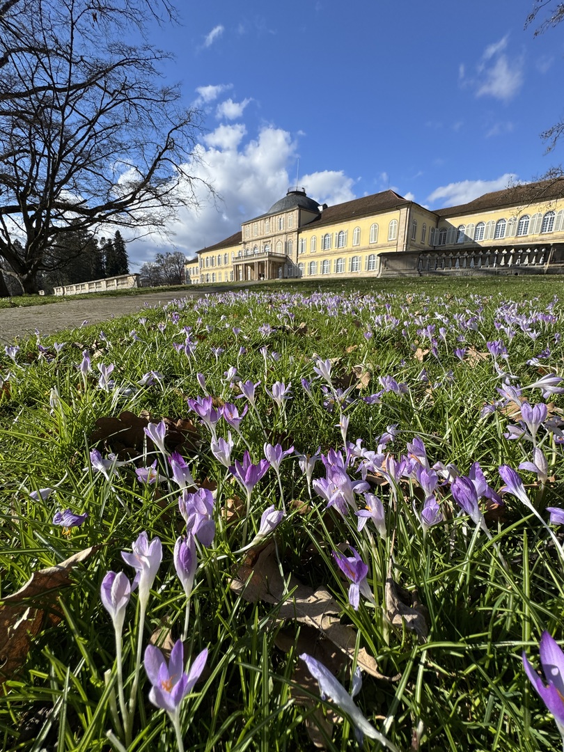 Krokusspaziergang & Schloss Hohenheim mit Familie erleben - Galeriebild 1