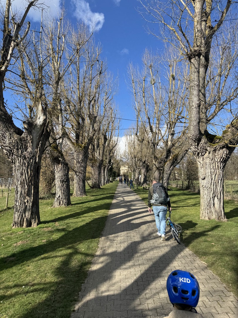 Krokusspaziergang & Schloss Hohenheim mit Familie erleben - Galeriebild 2