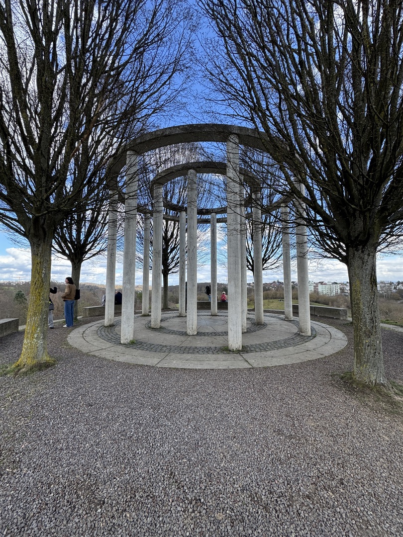 Krokusspaziergang & Schloss Hohenheim mit Familie erleben - Galeriebild 4