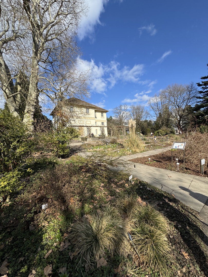 Krokusspaziergang & Schloss Hohenheim mit Familie erleben - Galeriebild 9