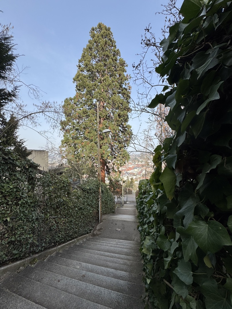 Stäffele-Spaziergang: Degerloch zum Marienplatz Stuttgart - Galeriebild 11