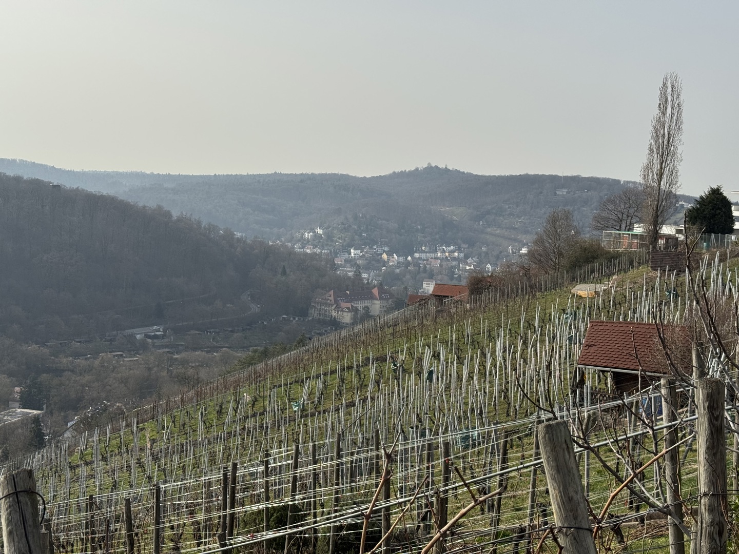 Stäffele-Spaziergang: Degerloch zum Marienplatz Stuttgart - Galeriebild 7