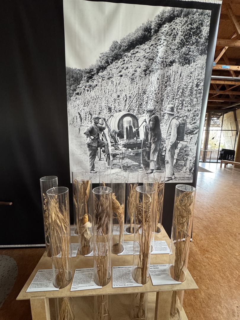 Deutsches Landwirtschaftsmuseum Stuttgart - Galeriebild 11