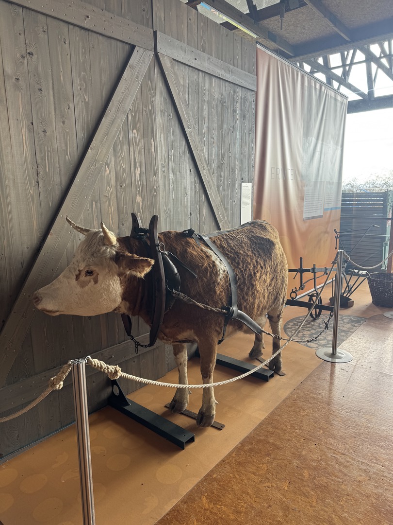 Deutsches Landwirtschaftsmuseum Stuttgart - Galeriebild 16