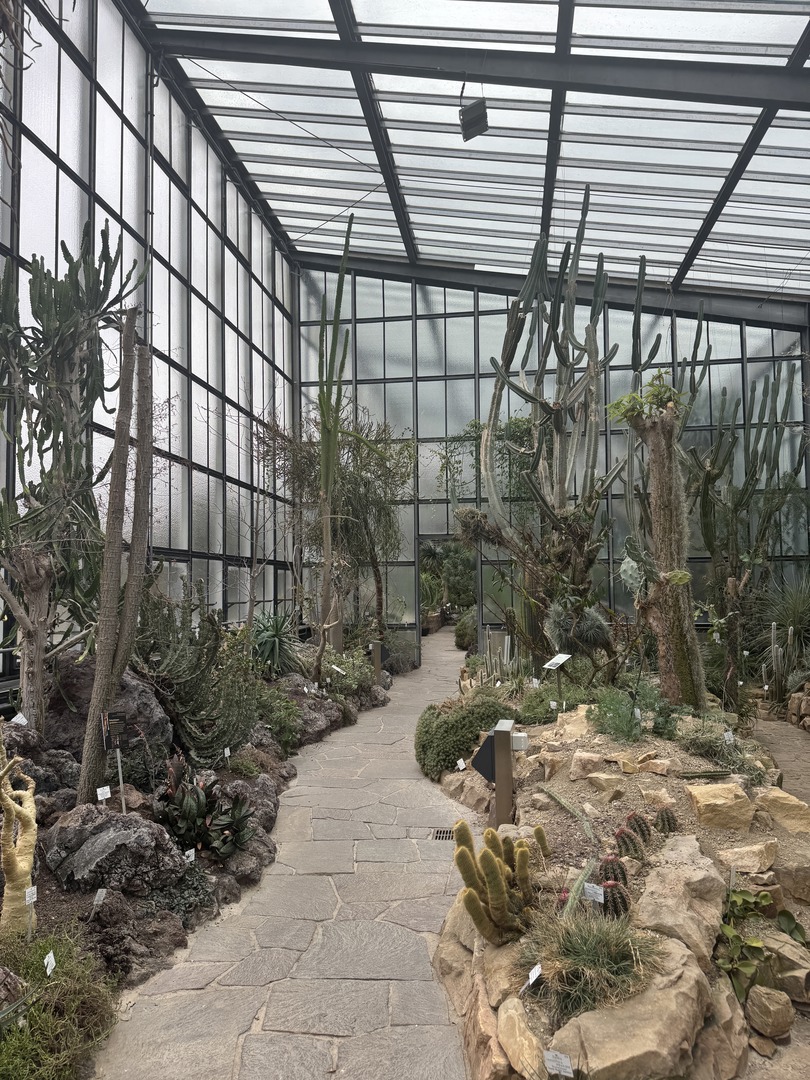 Botanischer Garten Tübingen – Tropenhäuser - Galeriebild 1