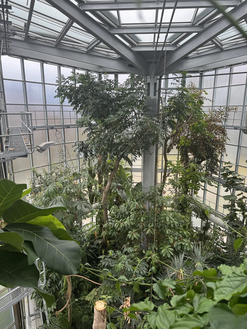 Botanischer Garten Tübingen – Tropenhäuser - Galeriebild 15