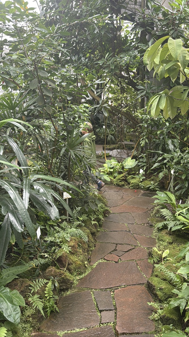 Botanischer Garten Tübingen – Tropenhäuser - Galeriebild 16