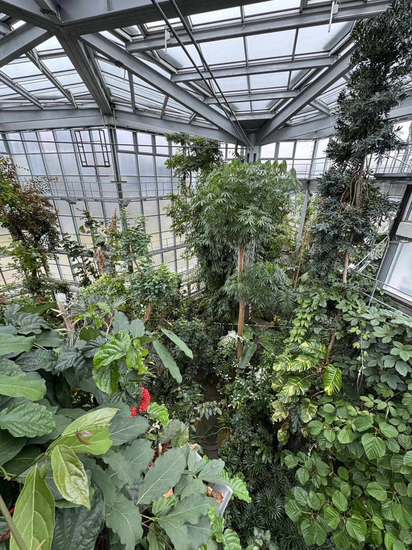 Botanischer Garten Tübingen – Tropenhäuser - Galeriebild 17