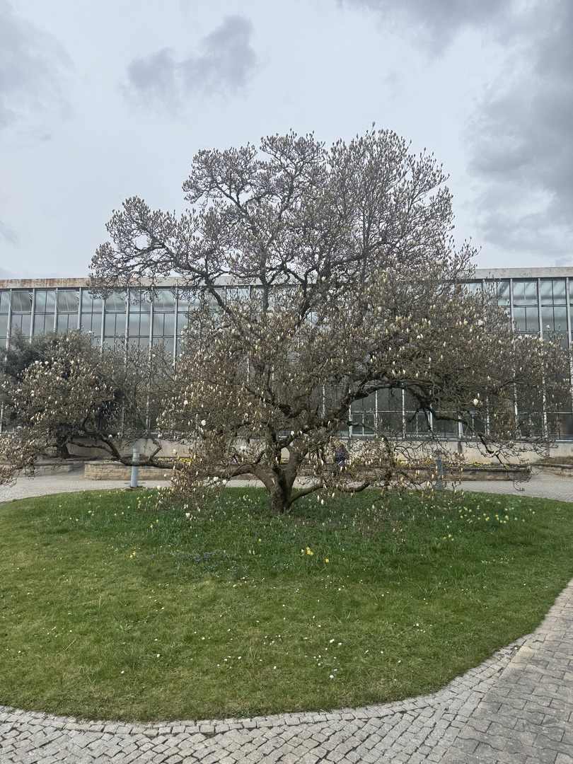 Botanischer Garten Tübingen – Tropenhäuser - Galeriebild 19