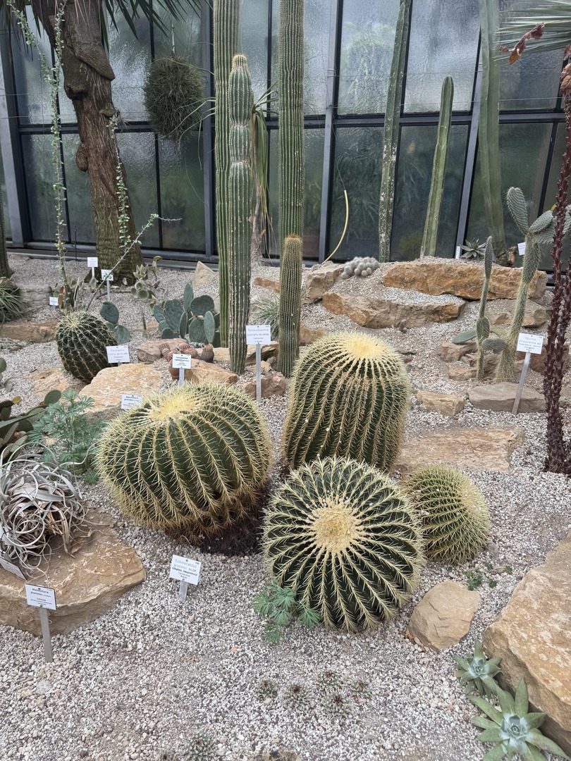 Botanischer Garten Tübingen – Tropenhäuser - Galeriebild 6