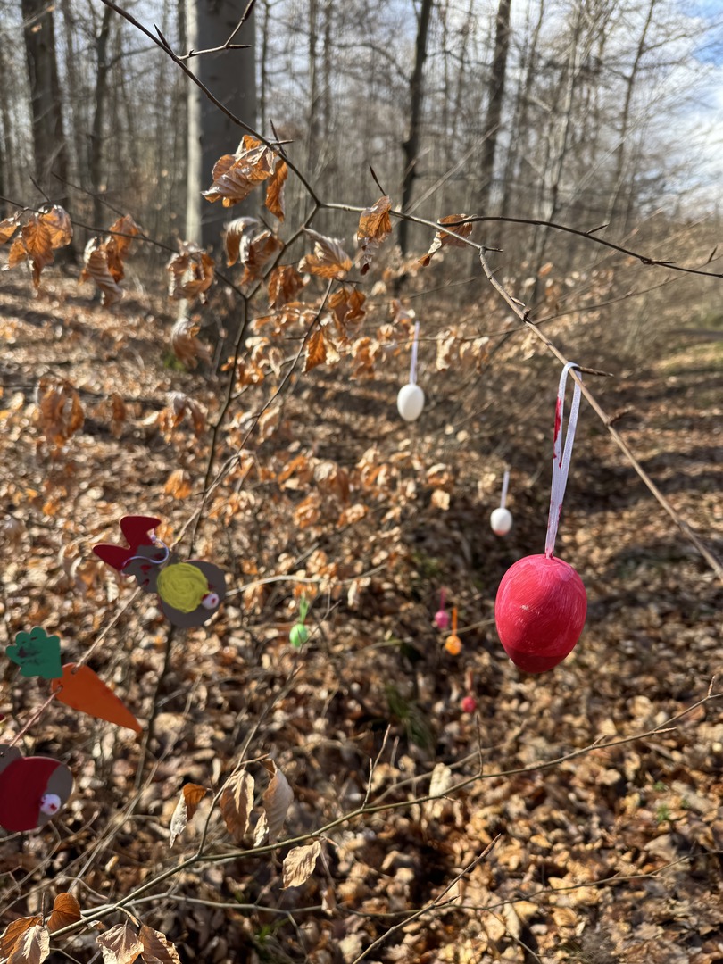 Osterpfad Aichschieß – Familienweg mit Mitmachstationen - Galeriebild 6