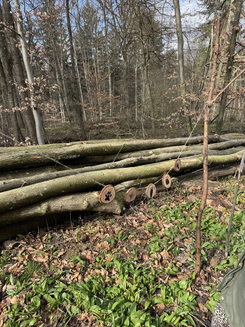 Osterpfad Aichschieß – Familienweg mit Mitmachstationen - Galeriebild 7